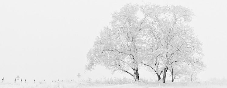 Gadget van januari 2016